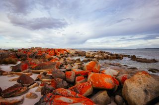 Tasmania